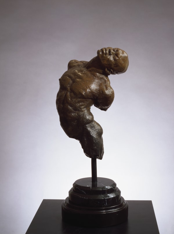 Latim Torso