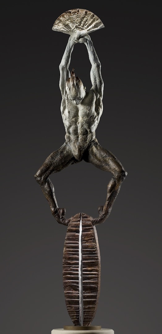 The Fan by Richard MacDonald