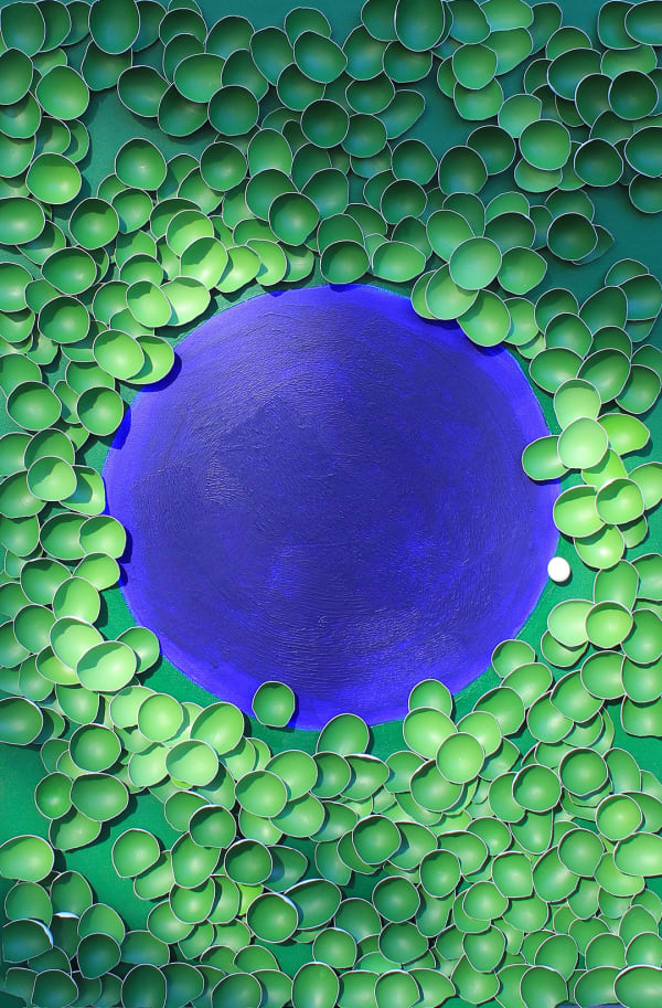 Rainforest by Larisa Safaryan