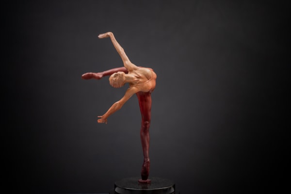 Flight In Attitude, Atelier, Red