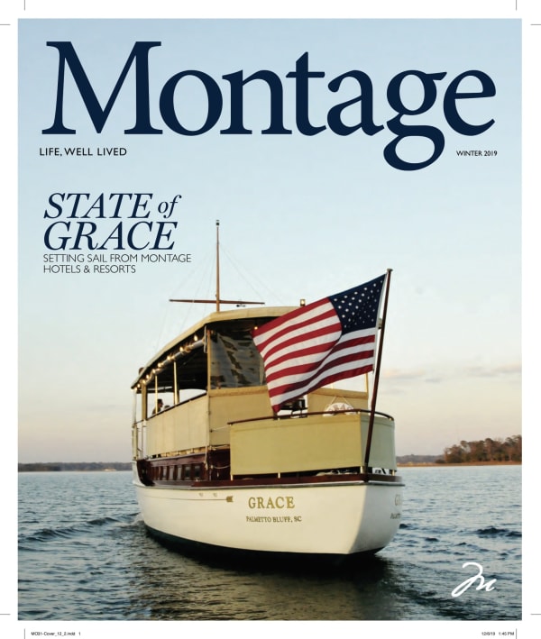 Montage Winter Cover