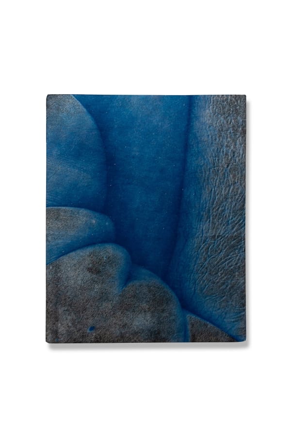Rad Husak Untitled № 3, 2018 Cyanotype, pigment transfer and carbon pencil on Tosa Washi paper mounted on ceramic canvas 9 4/5 × 8 1/10 × 3/5 in; 25 × 20.5 × 1.5 cm