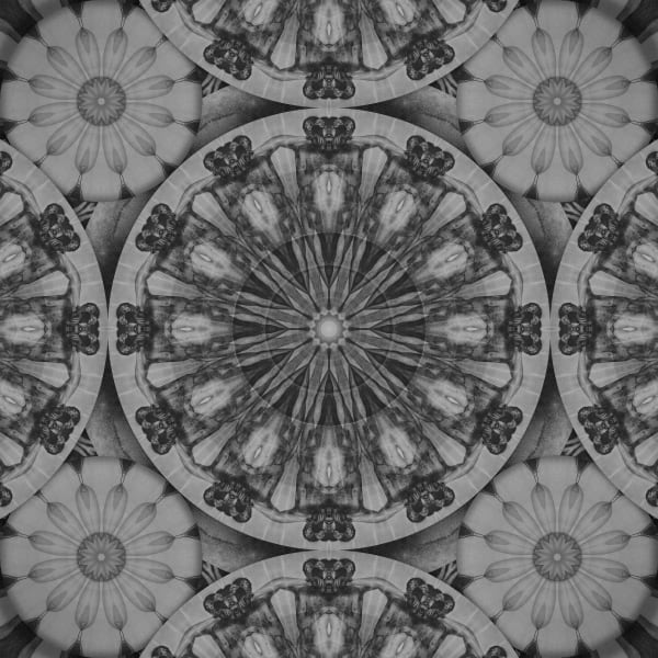 Rad Husak The Wheel (Embrace), 2018 Giclée print on paper 27 3/5 × 27 3/5 in; 70 × 70 cm Editions 2, 3 of 3 + 2AP