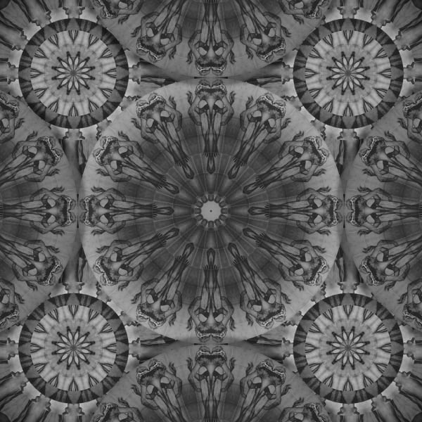 Rad Husak The Wheel (Arrival), 2018 Giclée print on paper 27 3/5 × 27 3/5 in; 70 × 70 cm Editions 2, 3 of 3 + 2AP