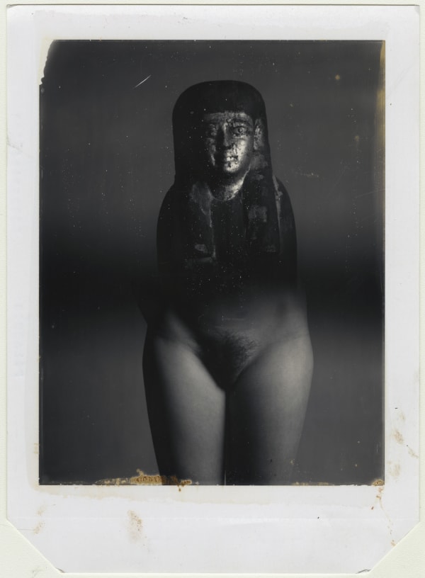 © David Bailey