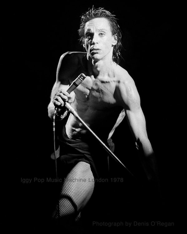 Iggy Pop on stage London 1978