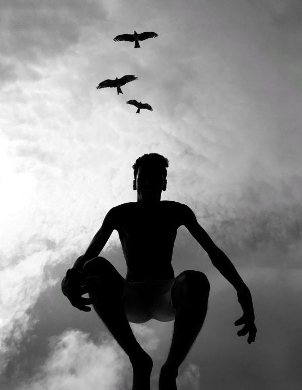 Boy Taking Off With The Birds