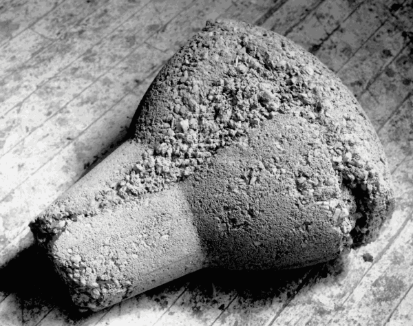 Elizabeth Lee Wilkinson