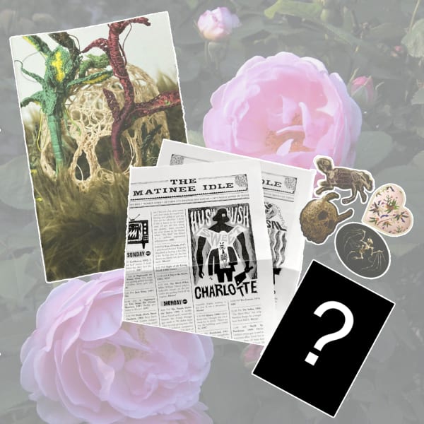 Caitlin McCormack, Zine Bundle