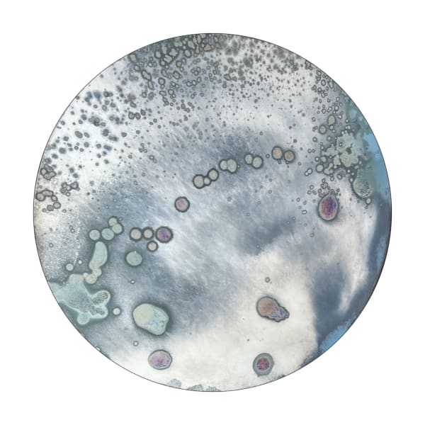 Wolf Moon 19" diameter