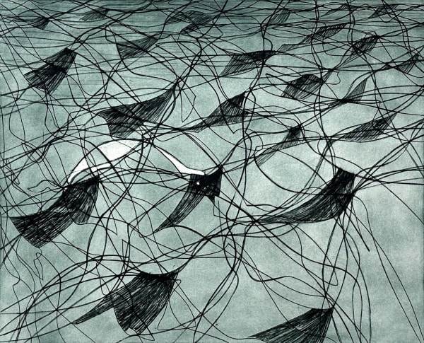 Stanley William Hayter, White Horses, 1967