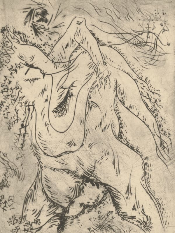 Andre Masson, Arbor, c. 1945-1950