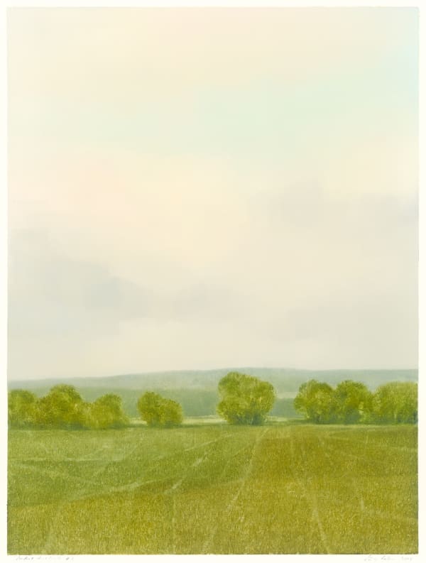 Peter Brooke, Pomfret Highlands #3, 2019