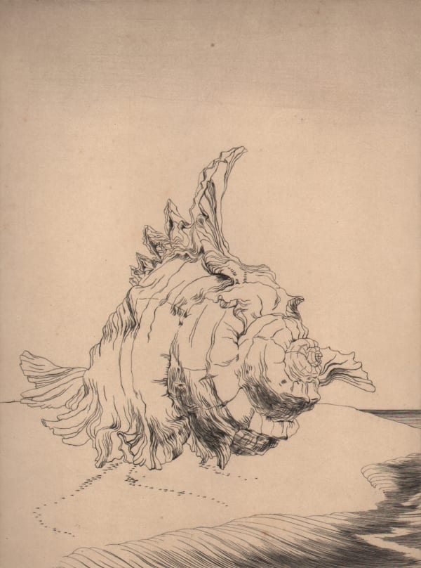 Christine Engler, Untitled (Shell), c. 1947