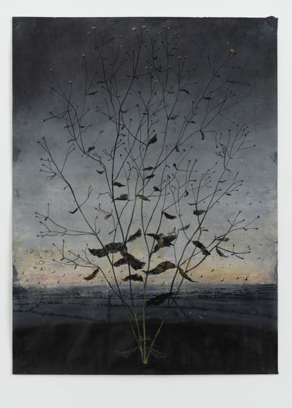 Michael Canning , Now Gravity I, 2018