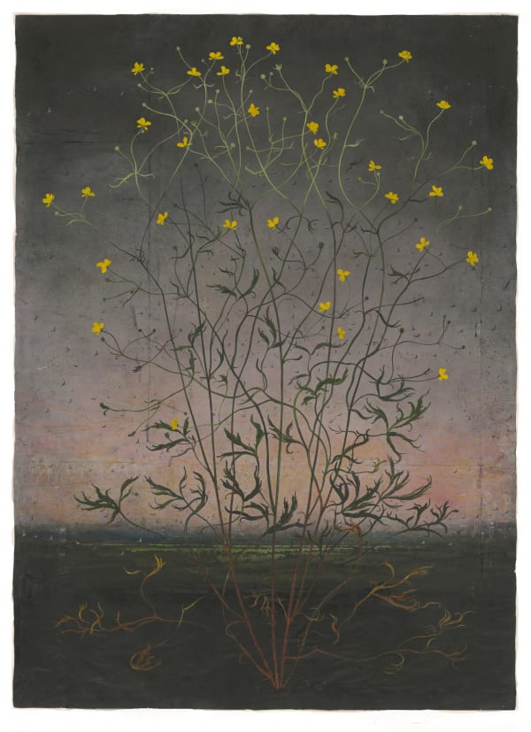 Michael Canning, In Byzantium, 2012-2018