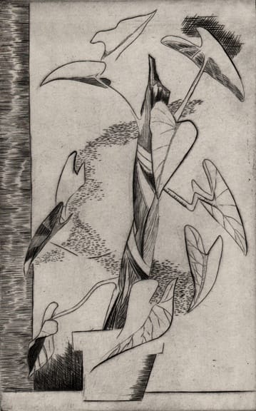 Alicia Bell Legg, Plant, c. 1947