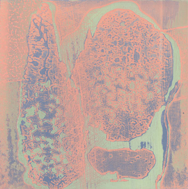 Robert Blackburn, Organic Thing XXII, 2002-03