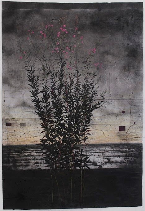 Michael Canning, Drawing II, 2012