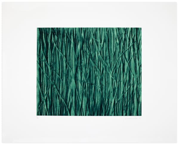 Antonio Murado Durham Press Fine Art Print Editions and Unique Monoprints