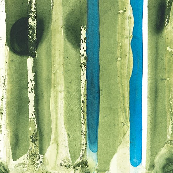 Close up of Jamie Nares Watercolor Monotype Durham Press