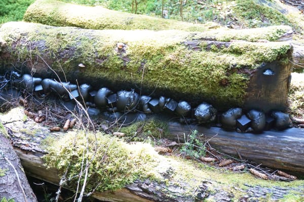 5Calendars Exhibition Dsc09968