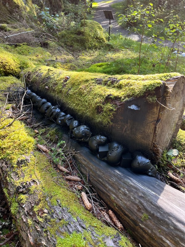 Calendars Exhibition Img 4076 Copy