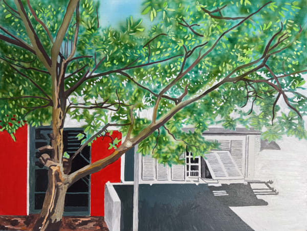 Eileen Gray E1027 Tree Img 8934