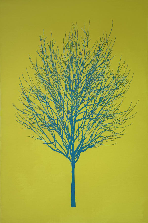Bergen Tree Img 6796