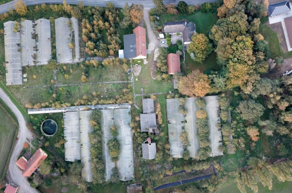 Greenhouse Oct 2019 Panorama1