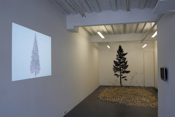 In All Things Img 1765