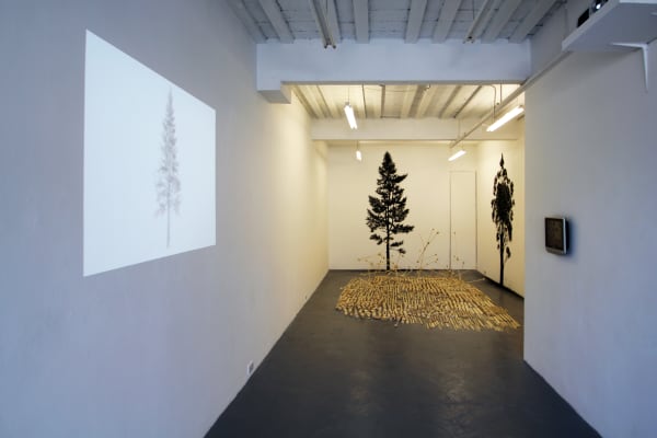 In All Things Img 1816