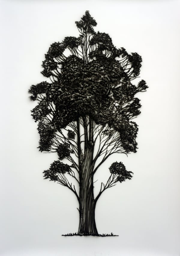 80th Anniversary Collection Exhibition