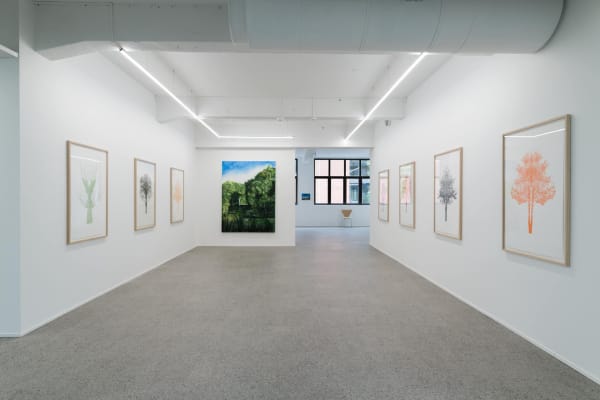 Fluid Spaces: Eamon O'Kane Høyersten Contemporary, Bergen, Norway