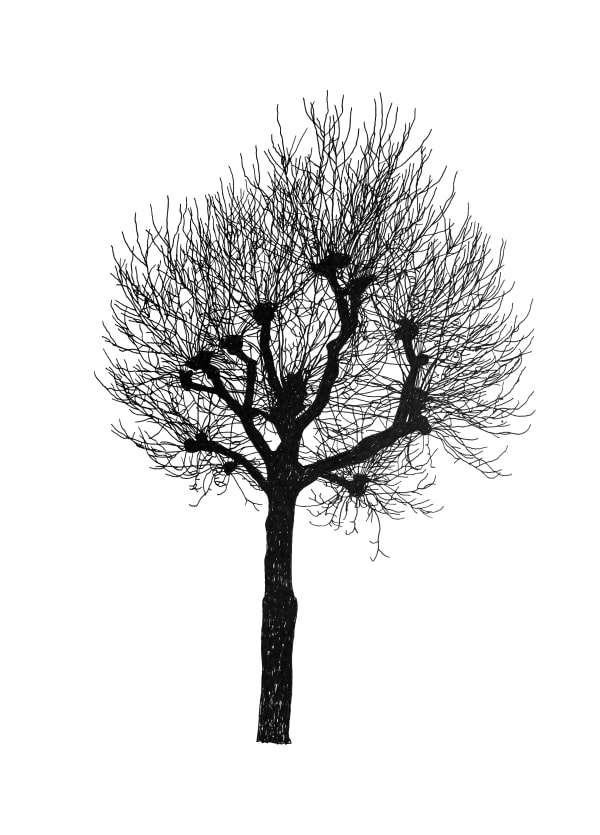 Vestlandsutstillingen 2025 (VU25) Jugendstilsenteret og KUBE, Ålesund, Norway