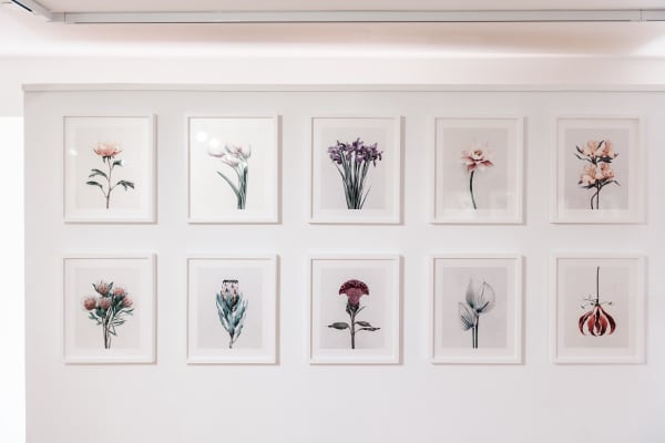 Echo Finearts Vernissage Juin 2024 1030