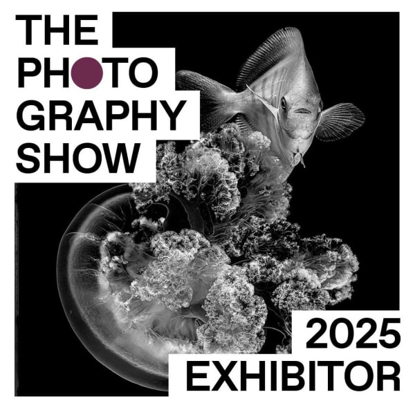The Photogaphy Show by AIPAD