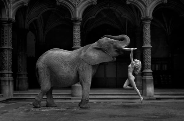 Marc Lagrange by Echo Fine Arts