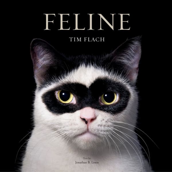 Feline (version anglophone signée), Tim Flach