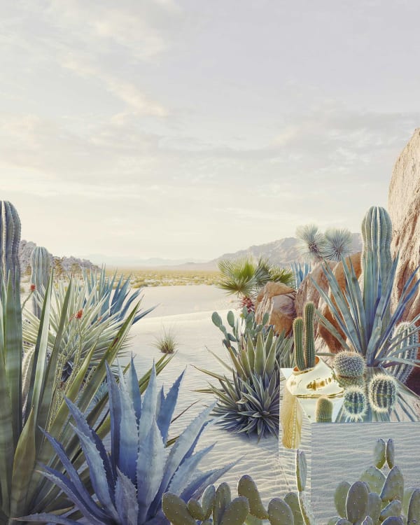 Dean West, Still Life #1, Desert Oasis, 2020