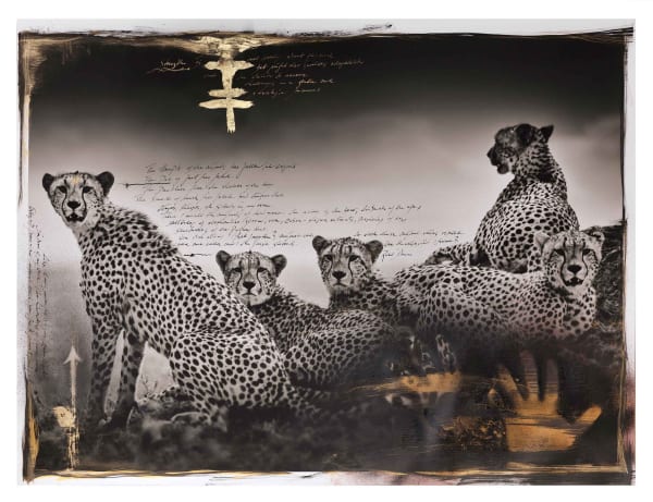 Joachim Schmeisser, Alliance I - Hand Painted, 2023 Unique pigment print on Hahnemühle Laid paper, painted with drawing ink, real Leaf Gold and Red Earth from Tsavo (African iron oxide pigments), 93 x 125 cm