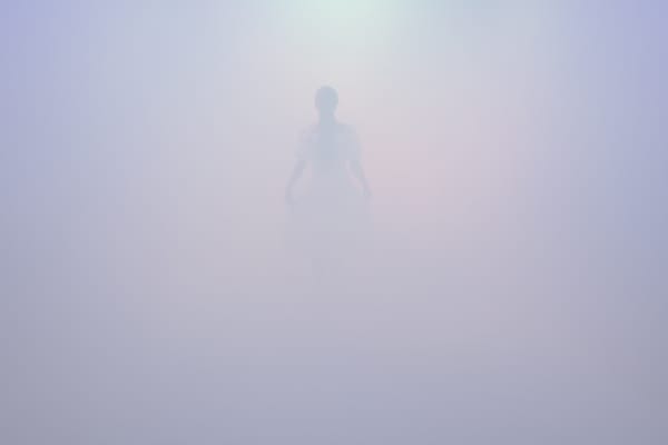 JeeYoung Lee, Contact, 2024