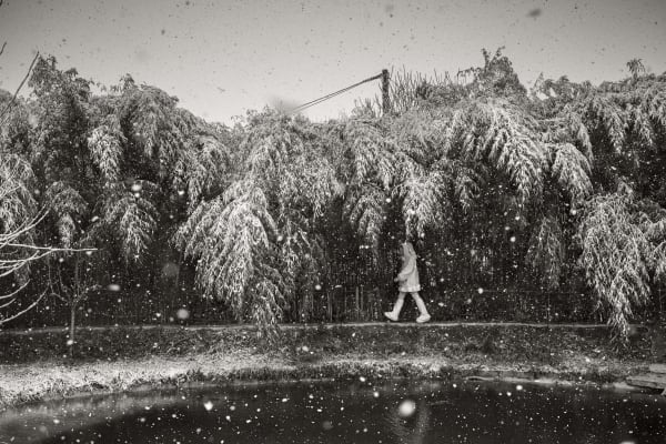 Alain Laboile, Polaire, 2023