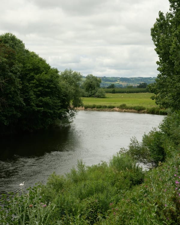 There are many trips up and down the lane, from the house to the studio and back, waiting for paint to dry.