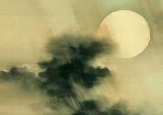 The Japanese Aesthetic