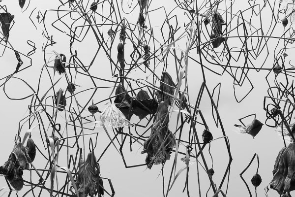 Photographs by Tomohiro Muda Aspects of Water