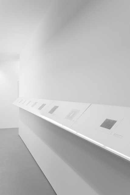 Exhibition view Mimetic Assimilation, 2019, Erna Hecey Gallery, Luxembourg