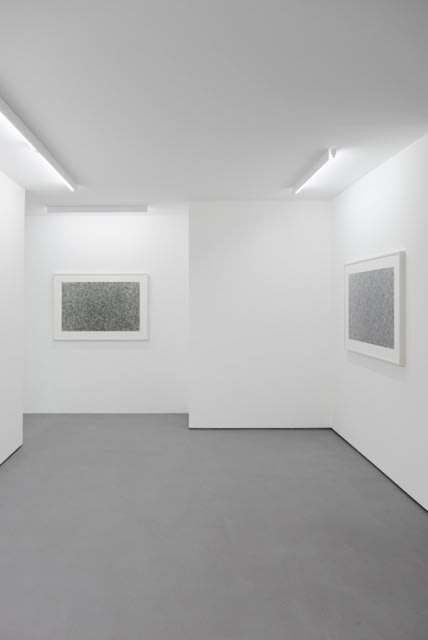 Exhibition view Mimetic Assimilation, 2019, Erna Hecey Gallery, Luxembourg