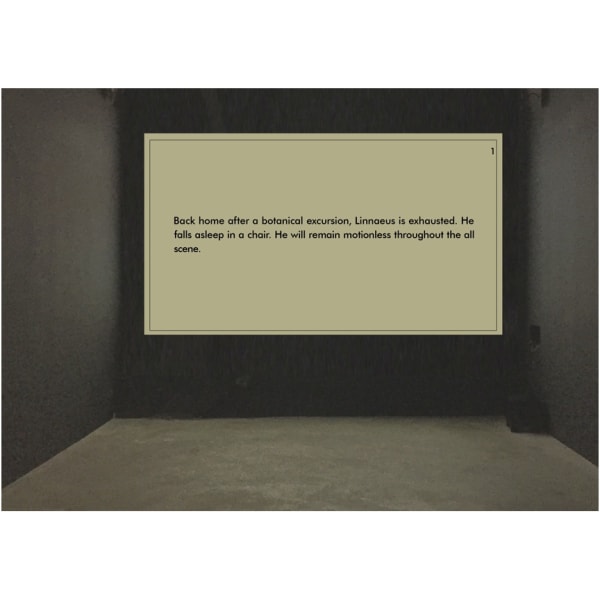 Suzanne-Lafont_How-Things-Think_exhibition_2021_erna-hecey-luxembourg