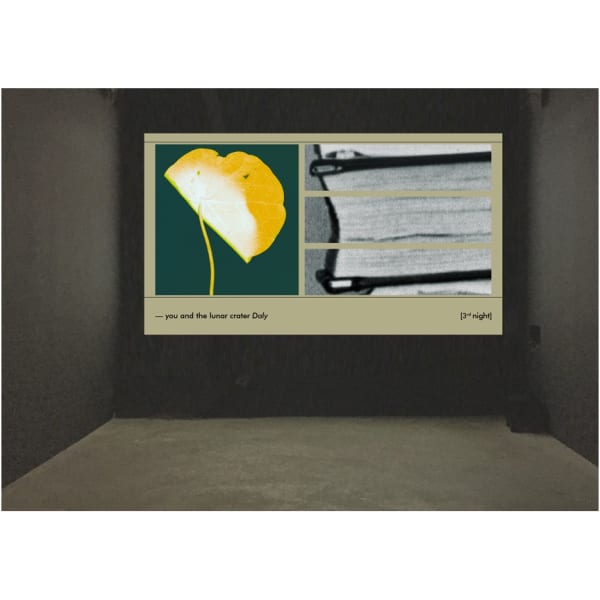 Suzanne-Lafont_How-Things-Think_exhibition_2021_erna-hecey-luxembourg
